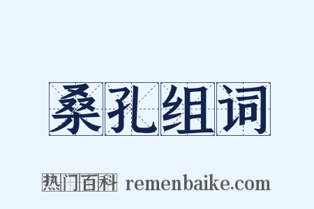 桑孔组词是什么意思的图片